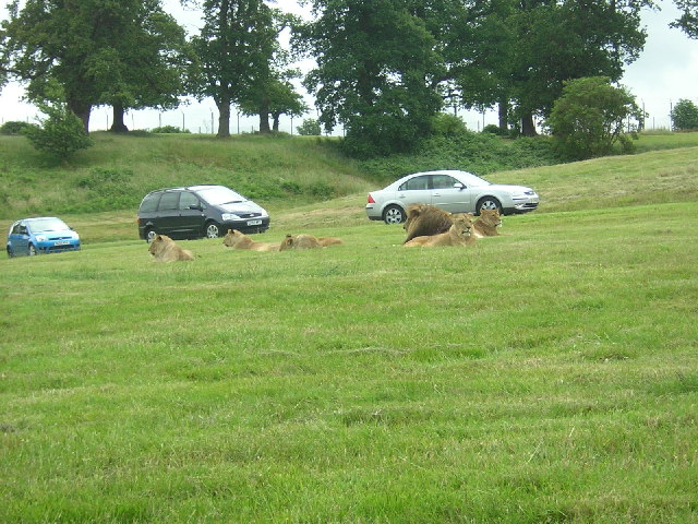 Woburn Safari Park