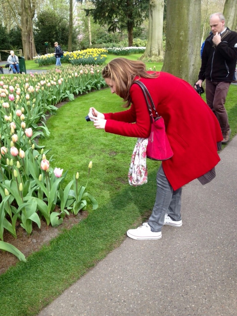 capture some tulips